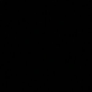 Meet your Posher, Laila